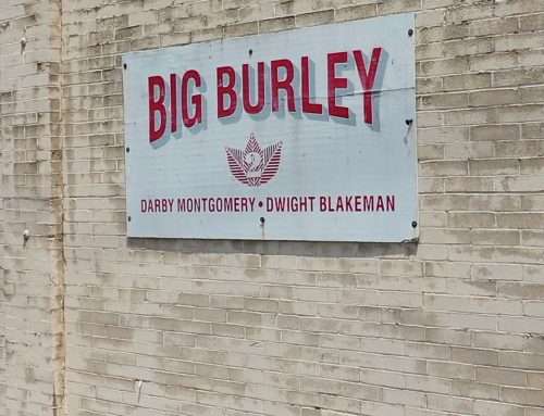 Big Burley Tobacco